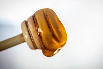 Honey Drip on White Background
