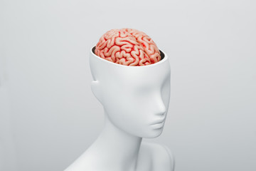 Female white mannequin with the top of the head opened. Can see the brain inside
