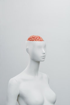 Female white mannequin with the top of the head opened. Can see the brain inside