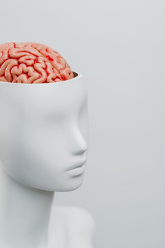 Female white mannequin with the top of the head opened. Can see the brain inside