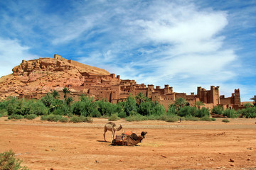 Camels in front of Kasbah Ait Ben Haddou near Ouarzazate in the Atlas Mountains of Morocco. UNESCO World Heritage Site