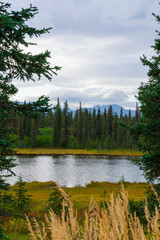 Denali National Park, Alaska Landscape Photography, Mountain Range, Dramatic Sky, Pacific North West, Tranquil Wilderness