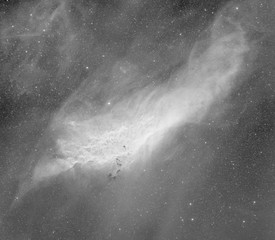 The California nebula in mono and wider field context