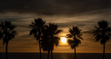 Obraz premium sunset on the beach Palm Trees