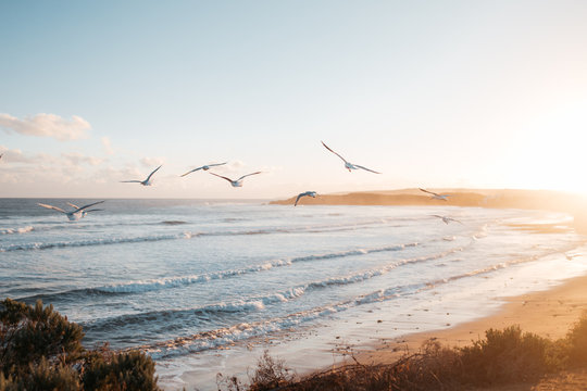 Great Ocean Road