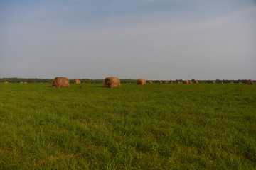 landscape with hay bales