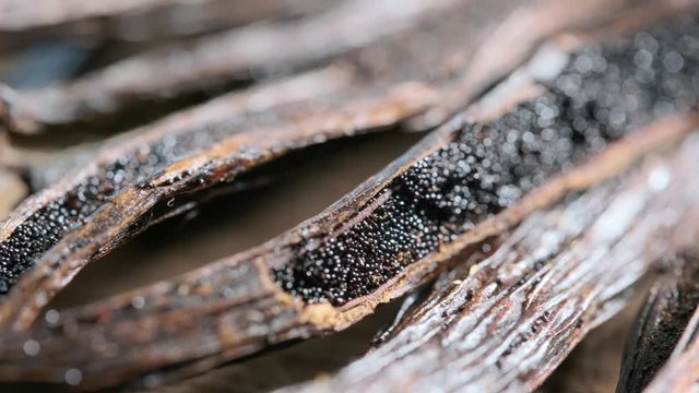 Dried vanilla pods, vanilla sticks macro shooting. Vanilla seeds in pods