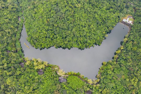 Aerial view of a lake surrounded by forest