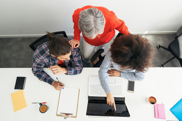Business group working in the office