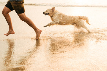 dog and man playing in water