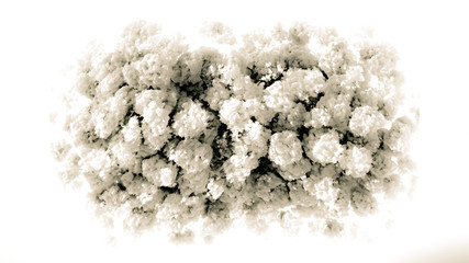 Cloud isolated, steam, smoke. 3d illustration, 3d rendering.