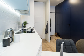 Fototapeta na wymiar Modern kitchen interior of small apartment