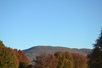 Colorful Trees With Mountains In Background Near Fall Creek Falls, Tennessee