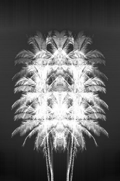 Palm tree with abstract glitch effect