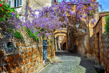 Blooming wisteria flowers in historical Orvieto Old town, Italy - obrazy, fototapety, plakaty