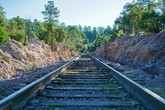 Railway in the forest