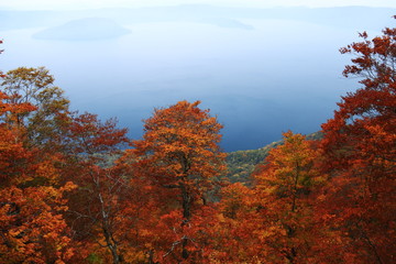 日本の秋　十和田湖の紅葉　御鼻部山からの風景