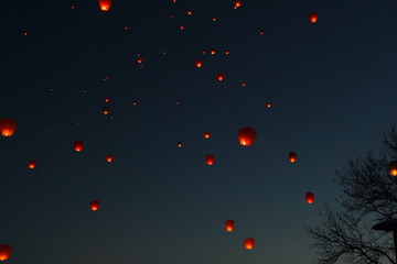 A large group of chinese flying lanterns.