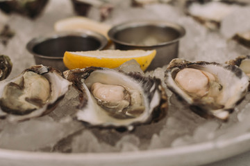 Fresh oysters close-up on plate with ice