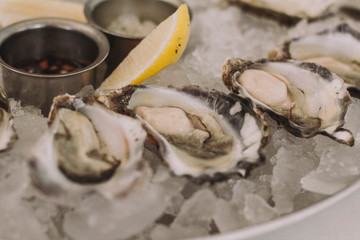 Fresh oysters close-up on plate with ice