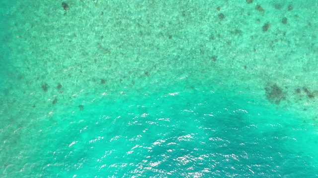Turquoise sea 