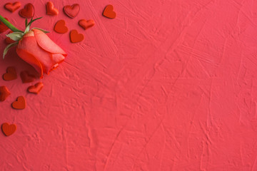 Festive composition from red rose and hearts scattered on pink background, valentines day concept, copy space