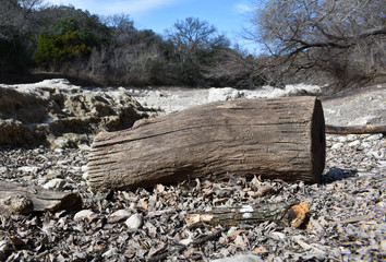 A log rests along a dry riverbed