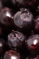 Background of fruits of the blueberries. Fresh food in macro. Bilberries with the tail and dew drops in close-up.