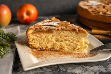 Fototapeta na wymiar Apple pie with cinnamon on the table, a piece of apple pie on a white plate