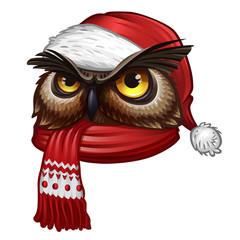 Owl in scarf. Isolated on white