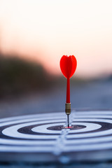 Close up red dart arrow hitting target center dartboard on sunset background - obrazy, fototapety, plakaty