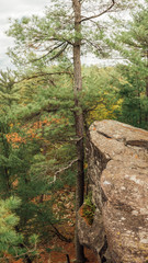 cliff in the forest rocky