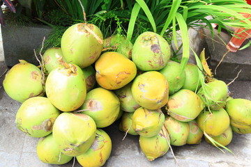 Group of green coconuts