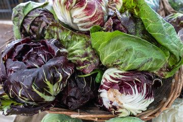 Basket of green and purple radicchio at the market