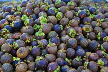 Mangosteen (tropical fruit) on sales in the market of Thailand