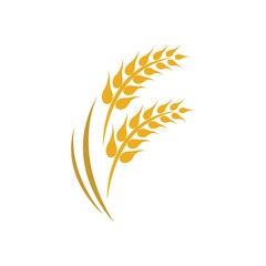Wheat logo vector icon