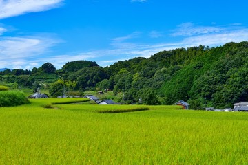 明日香村の秋の情景＠奈良