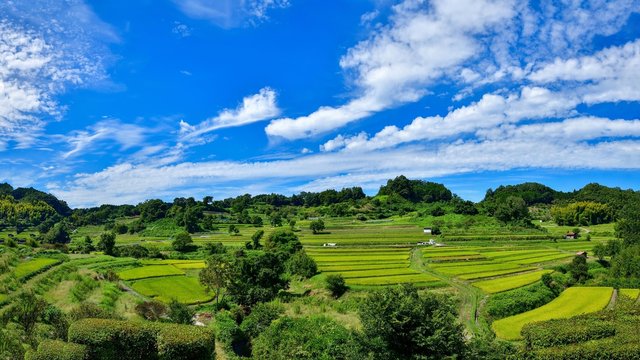 明日香村 棚田の秋の情景 奈良 Stock Photo Adobe Stock 明日香村 棚田の秋の情景 奈良 Stock Photo Adobe Stock