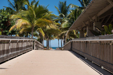pool in tropical resort