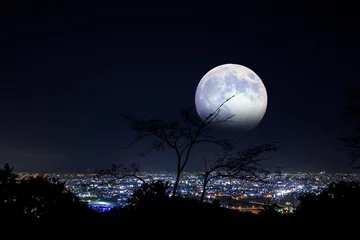 Crédence de cuisine en verre imprimé Pleine Lune arbre Vue nocturne et lune vue de la montagne