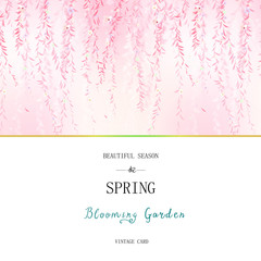 Beautiful spring willow branch. Spring willow branch with buds and catkins. Wedding ornament concept. Floral poster, invite. Decorative greeting card or invitation design background