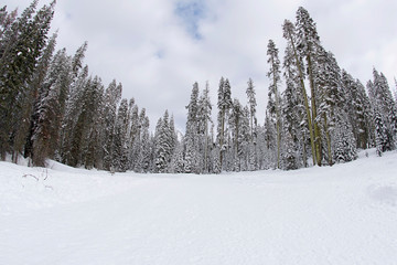 Fisheye view of beautiful snow covered mountains  