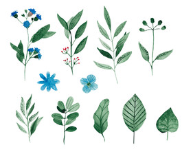 Set of hand drawn flowers and herbs painted in watercolor on white paper. Sketch of branch, foliage,leaves, berries.