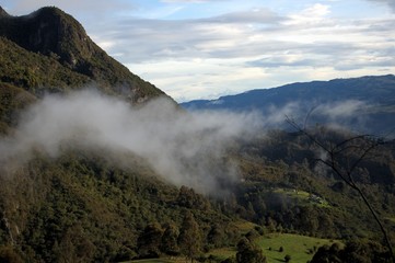 naturaleza colombiana