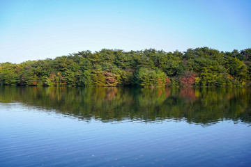 Fototapeta na wymiar 湖に反射する木々