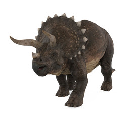 Fototapeta premium Triceratops Dinosaurs Isolated