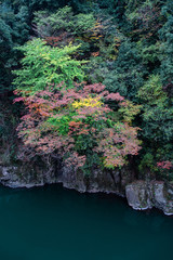 渓谷の小さな紅葉