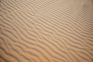 Fototapeta na wymiar Beach desert sand wave, sand mark, background