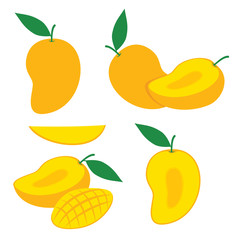 Mango Slice Vector Set Design Illustration