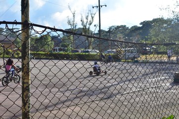 barbed wire fence